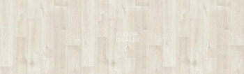 Линолеум Tarkett Bonus DUART 1 фото 1 | FLOORDEALER